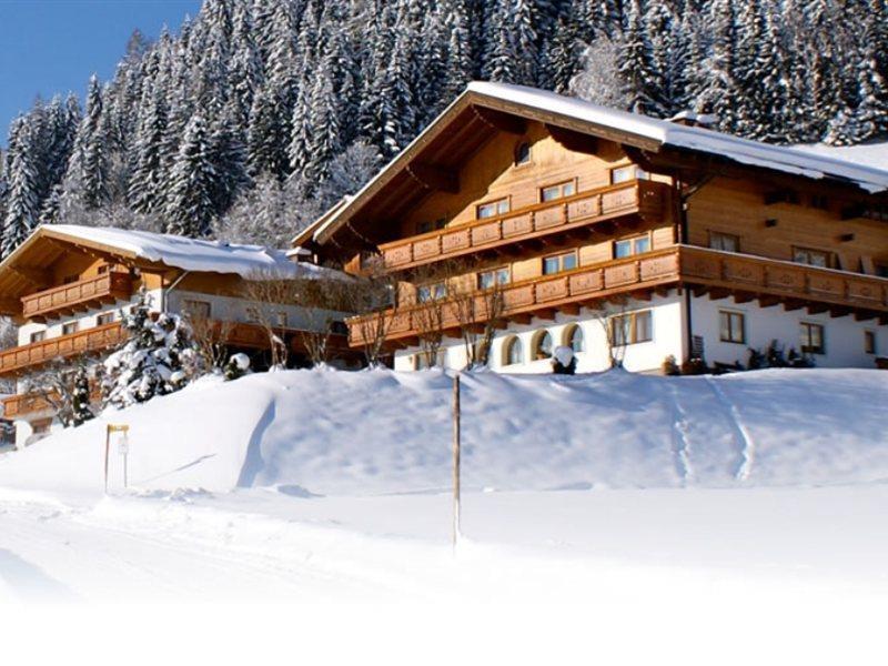 Ferienhaus And Reiterhof Poettler Flachau Esterno foto